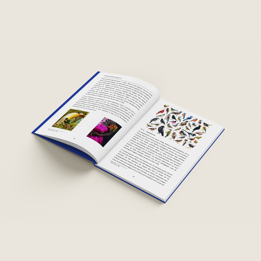 HARDCOVER