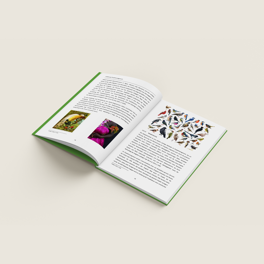 HARDCOVER