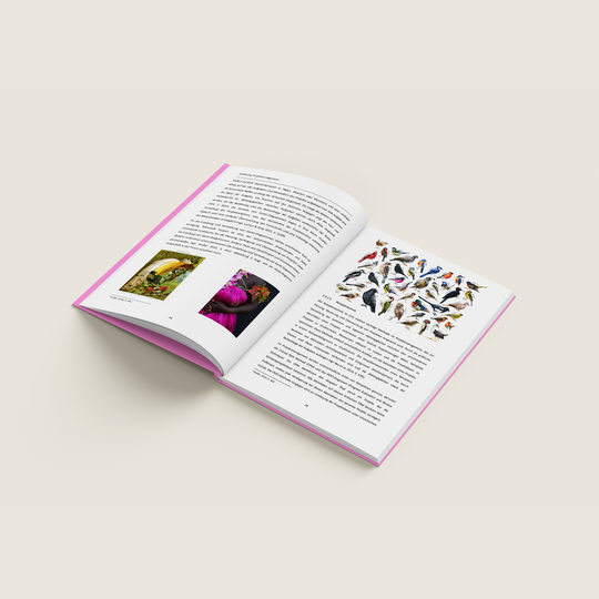 HARDCOVER