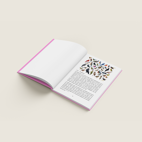 HARDCOVER