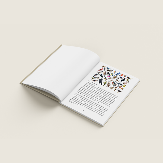 HARDCOVER