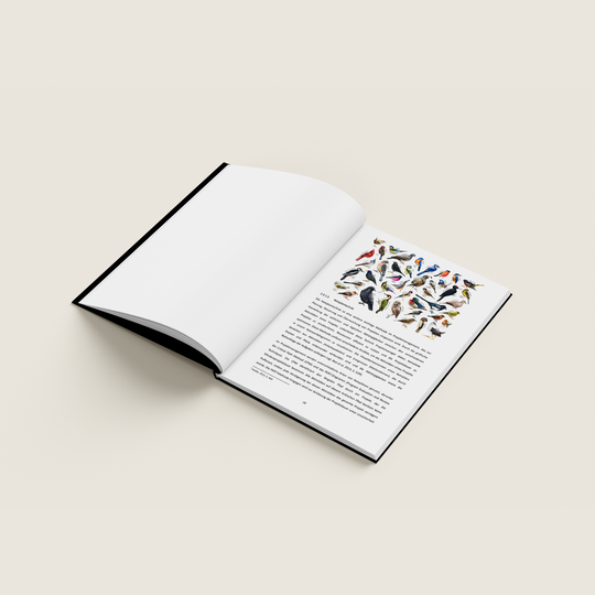 HARDCOVER