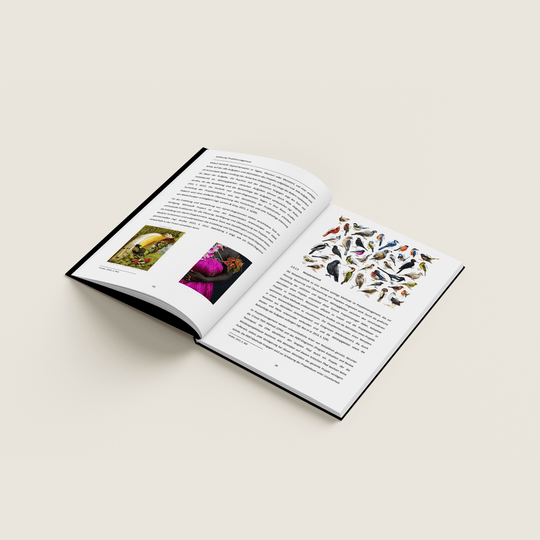 HARDCOVER - PYEB