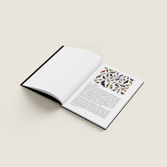 HARDCOVER - PYEB