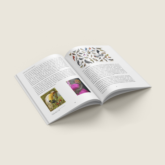 MAGAZIN / SOFTCOVER - PYEB